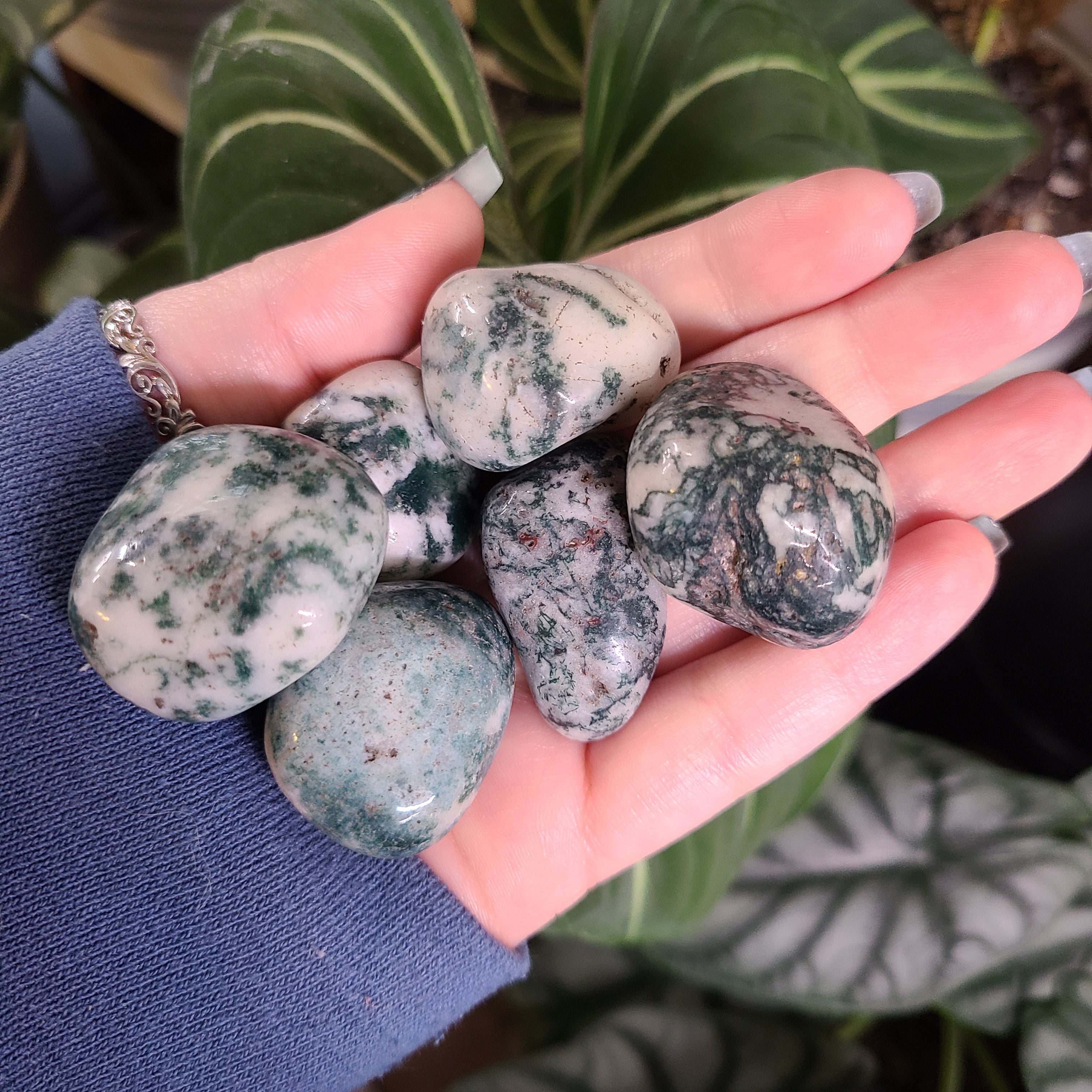 Tree Agate Tumbles -  Intuitively Chosen