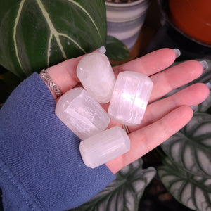 Satin Spar Selenite Nuggets -  Intuitively Chosen