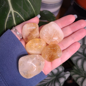 Citrine (heat treated) Tumbles -  Intuitively Chosen