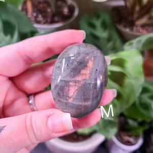 Labradorite Palm Stones with High Flash - Medium