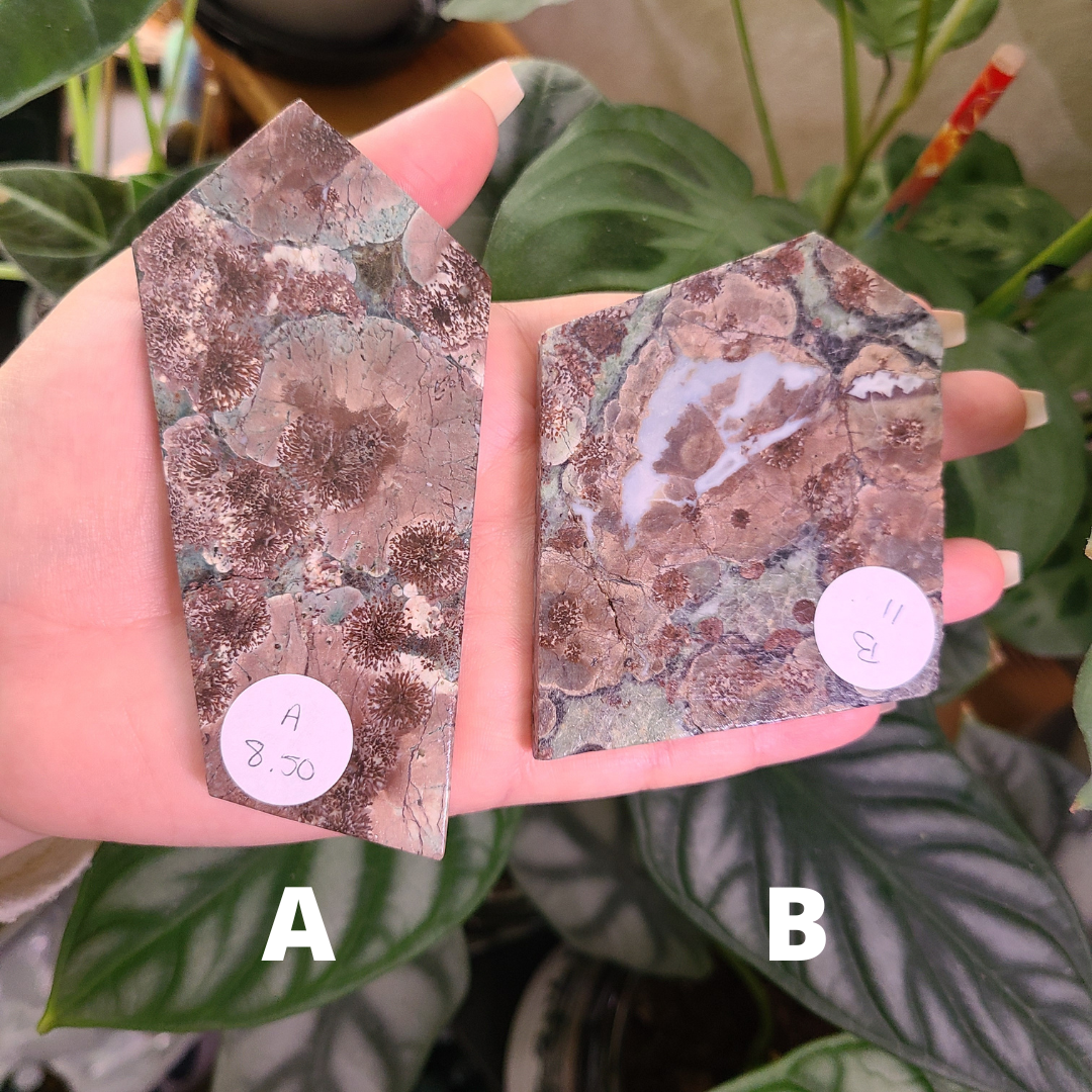 Oriental Flower Jasper - Rhyolite - Slabs