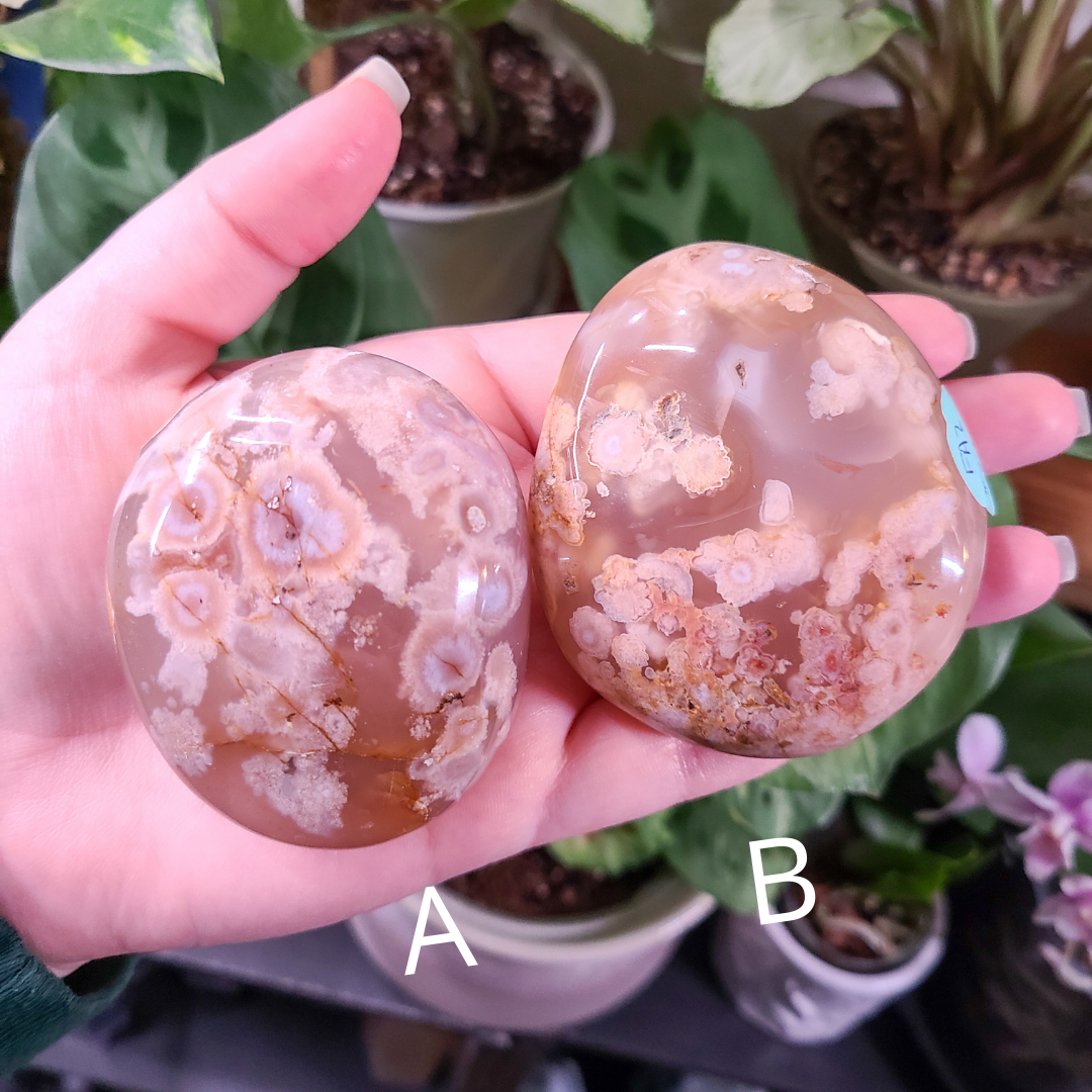 Flower Agate Palm Stones