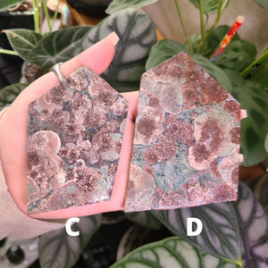 Oriental Flower Jasper - Rhyolite - Slabs