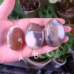 Load image into Gallery viewer, Orca Agate Palm Stones - Small
