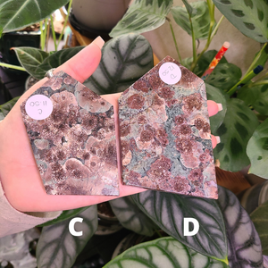 Oriental Flower Jasper - Rhyolite - Slabs