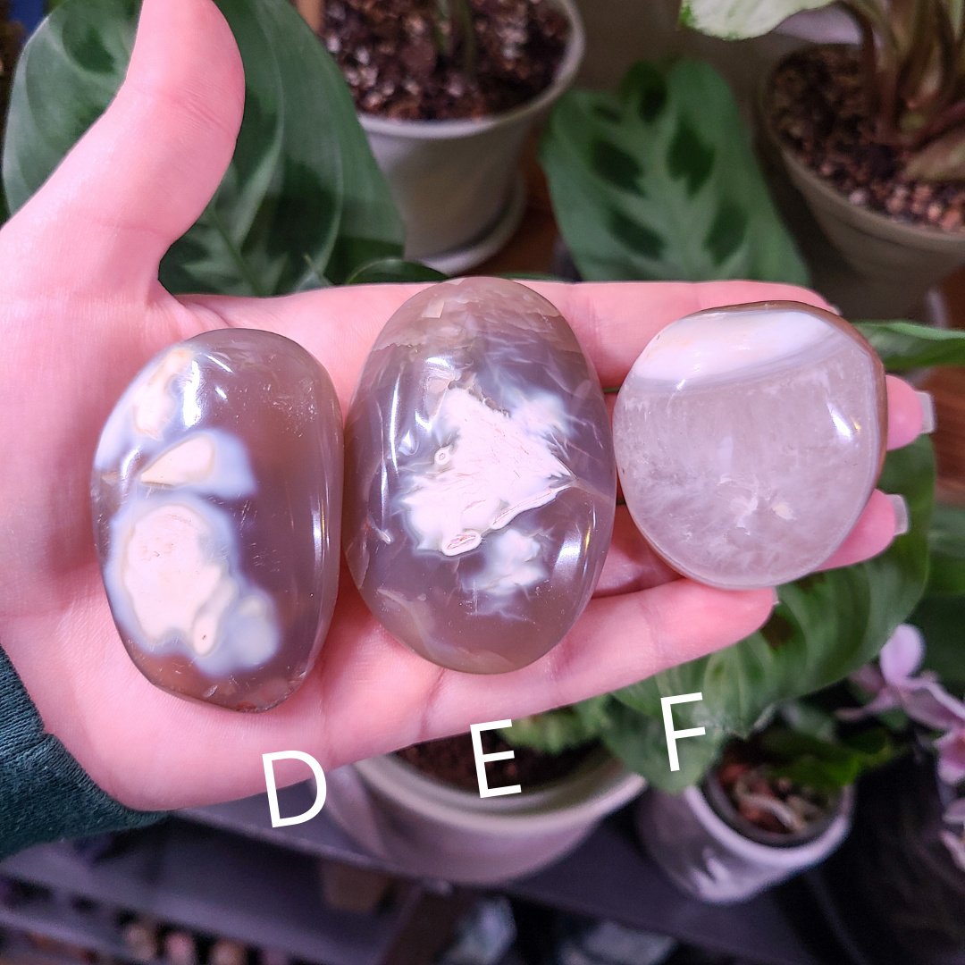 Orca Agate Palm Stones - Small