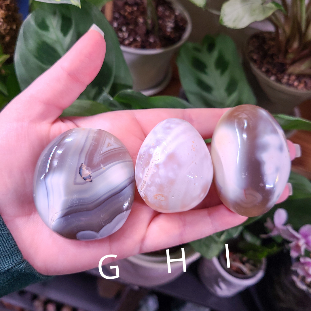 Orca Agate Palm Stones - Small