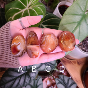 Sardonyx Palm Stones