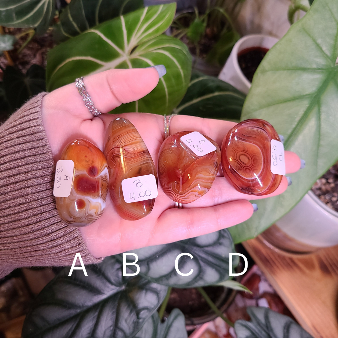 Sardonyx Palm Stones