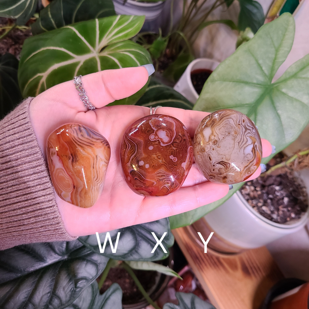 Sardonyx Palm Stones