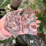 Load image into Gallery viewer, Oriental Flower Jasper - Rhyolite - Slabs
