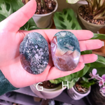 Load image into Gallery viewer, Moss Agate Palm Stones
