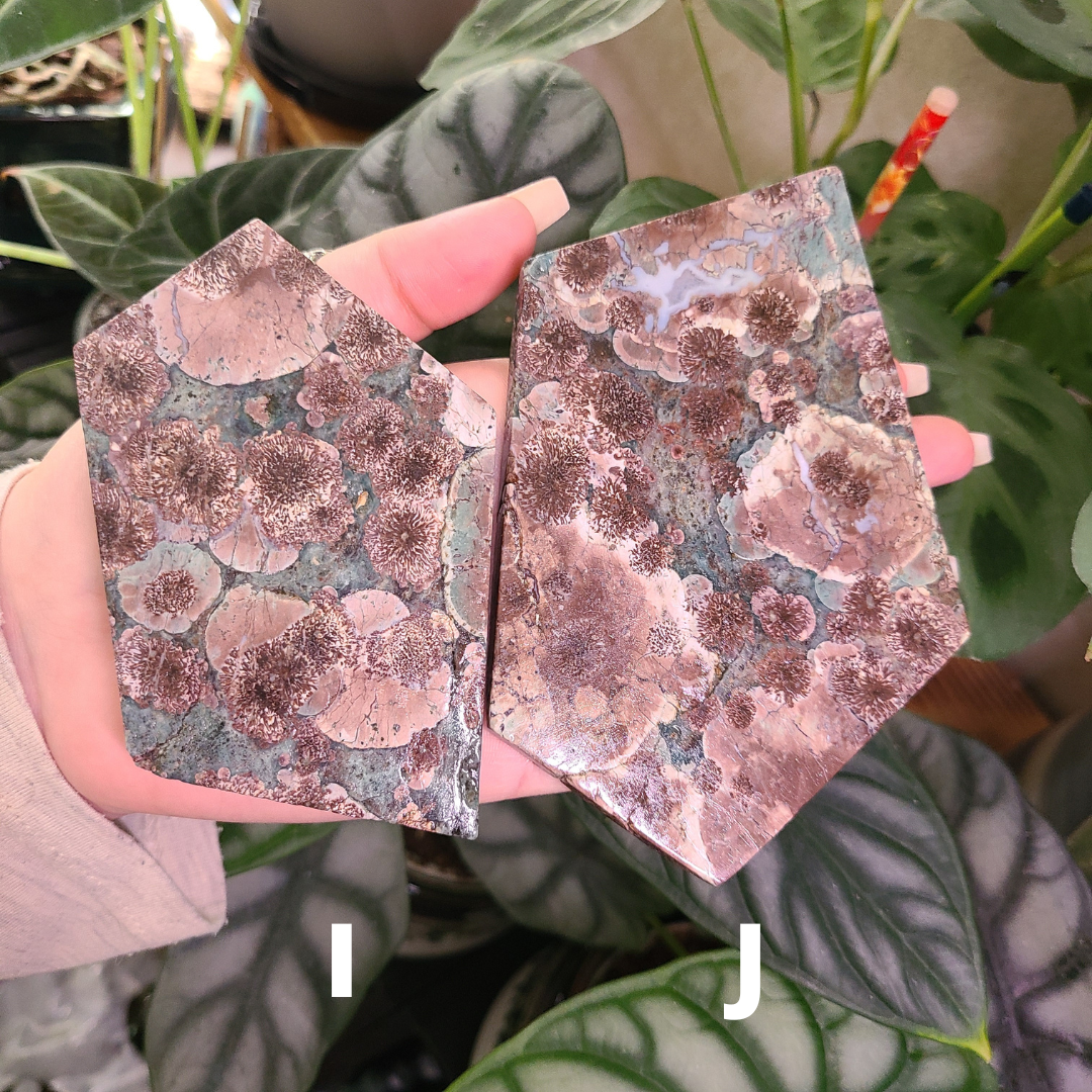 Oriental Flower Jasper - Rhyolite - Slabs